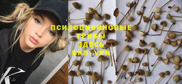 марки lsd Карпинск