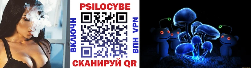 Купить где  Грязи  Галлюциногенные грибы Magic Shrooms 